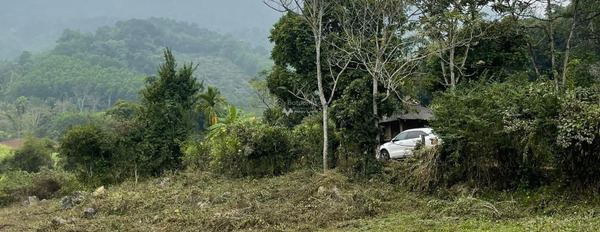 Gần Quốc Lộ 6, Cao Phong bán trang trại giá bán bàn giao 1.4 tỷ, hướng Đông - Nam diện tích tổng 2313m2-03