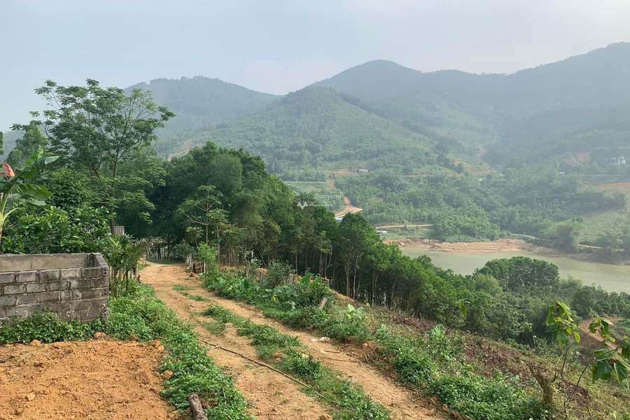 Bán 3,7ha đất khai hoang view hồ Ngành, Lương Sơn, đã nằm trong quy hoạch 70% lên đất vườn và ở trao đổi trực tiếp-01