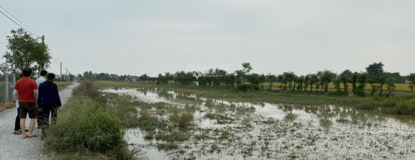 Tăng Hòa, Tiền Giang bán đất giá hạt dẻ 342 triệu có diện tích sàn 123.2m2-03