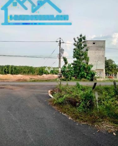 Ngay ở Bù Nho, Bình Phước bán đất giá siêu mềm chỉ 450 triệu diện tích dài 200m2