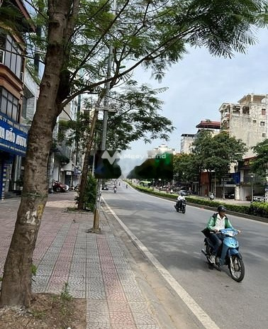 Vị trí đẹp nhất Nguyễn Văn Cừ .S30 m2 trung tâm phố .Gía 9,1 tỷ 