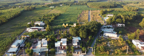 Ngay Đường Phước Bình, Xã Phước Bình bán đất 1.7 tỷ, hướng Tây diện tích thực như trên hình 1000m2-02