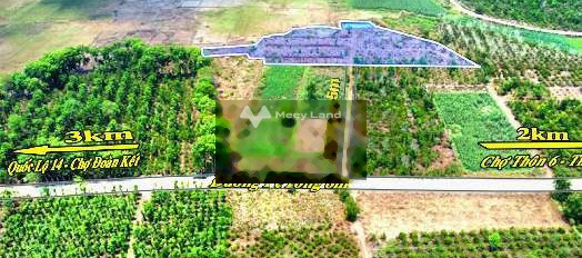 Giá 2.2 tỷ bán đất với tổng diện tích 6000m2 vị trí đẹp tọa lạc trên Tố Hữu, Đắk Lắk-03