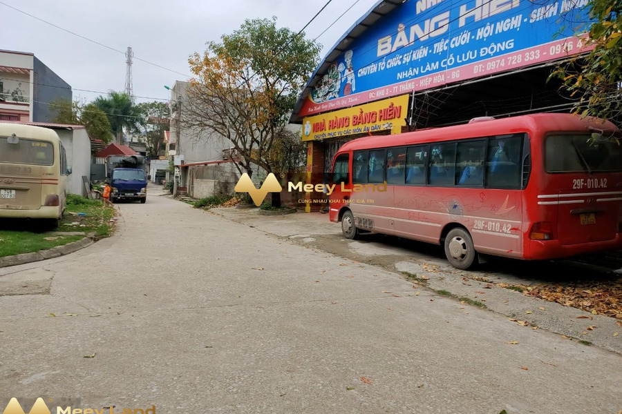 Bán đất Có tổng diện tích 160 m2 tọa lạc ngay Thị Trấn Thắng, Bắc Giang-01