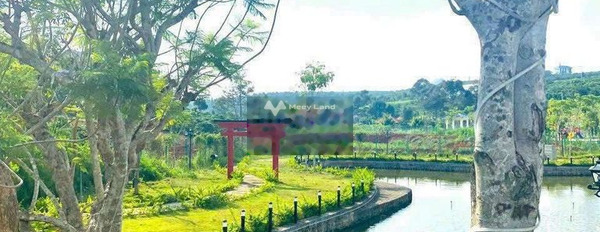 Ở Đạm Bri, Bảo Lộc bán đất 2.8 tỷ diện tích mặt tiền 285m2-02