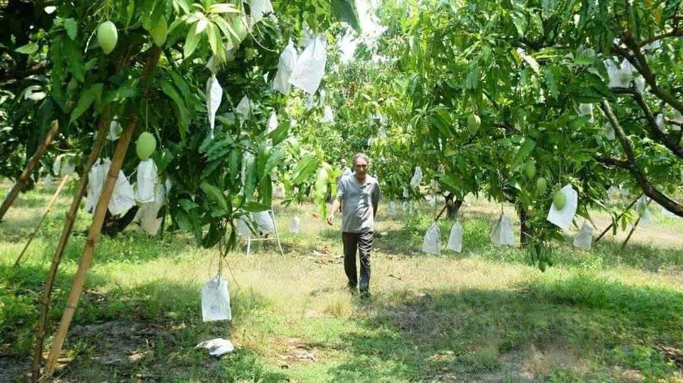 Bán nhà riêng huyện Củ Chi thành phố Hồ Chí Minh giá 340.0 triệu-2