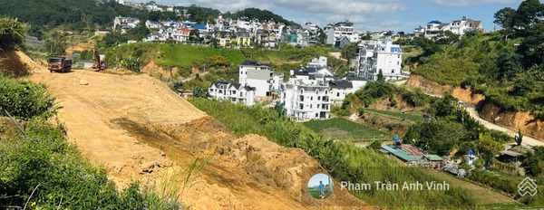 Giá bán hiện tại chỉ 91.8 tỷ bán đất diện tích như sau 5100m2 vị trí đặt ở An Sơn, Lâm Đồng-02
