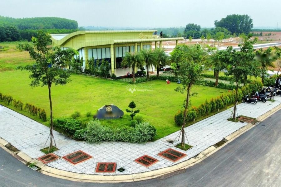 Sở hữu lô đất nền 80m2, mặt tiền 5m tại xã Tân An, Vĩnh Cửu, Đồng Nai, giá 369 triệu-01