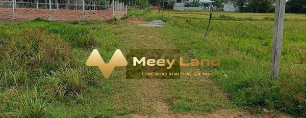 Tọa lạc ngay tại Đức Hòa, Long An bán đất giá mua liền tay 1.1 tỷ với dt là 118m2-03