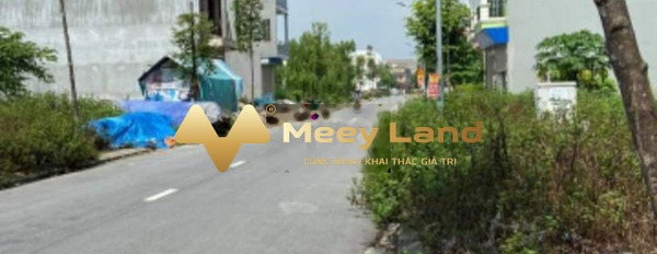 Vị trí đẹp Thị Trấn Hồ, Thuận Thành bán đất giá rẻ bất ngờ chỉ 2.5 tỷ có dt gồm 107 m2-03