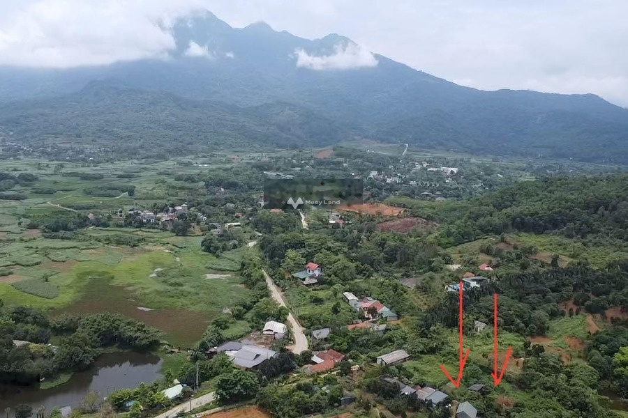 Cần bán gấp lô đất tại xã Vân Hòa, Ba Vì, Hà Nội diện tích 4158m2 có 400m2 đất xây dựng -01
