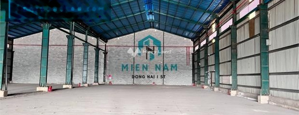 Tôi đang rất gấp cho thuê kho bãi có diện tích gồm 5000m2 vị trí ngay ở Dĩ An, Bình Dương giá thuê đặc biệt 330 triệu/tháng thuận tiện đi lại-02