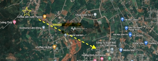 Vị trí thuận lợi tọa lạc ngay ở Bảo Lâm, Lâm Đồng bán đất, giá bán cạnh tranh chỉ 998 triệu với diện tích là 117m2-02