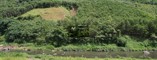 Bán đất vị trí nằm tại Thị Trấn Bo, Kim Bôi. Diện tích 14000m2, giá 400 triệu-02