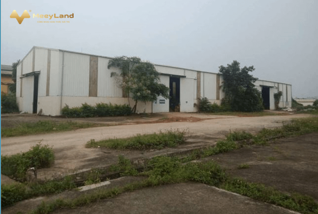Bán kho xưởng đất trong khu công nghiệp Đồng Lạng, huyện Phù Ninh, tỉnh Phú Thọ-01