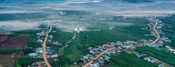 Giá không trung gian 1 tỷ bán đất diện tích chung quy 200m2 tọa lạc ngay ở Bảo Lâm, Lâm Đồng-03