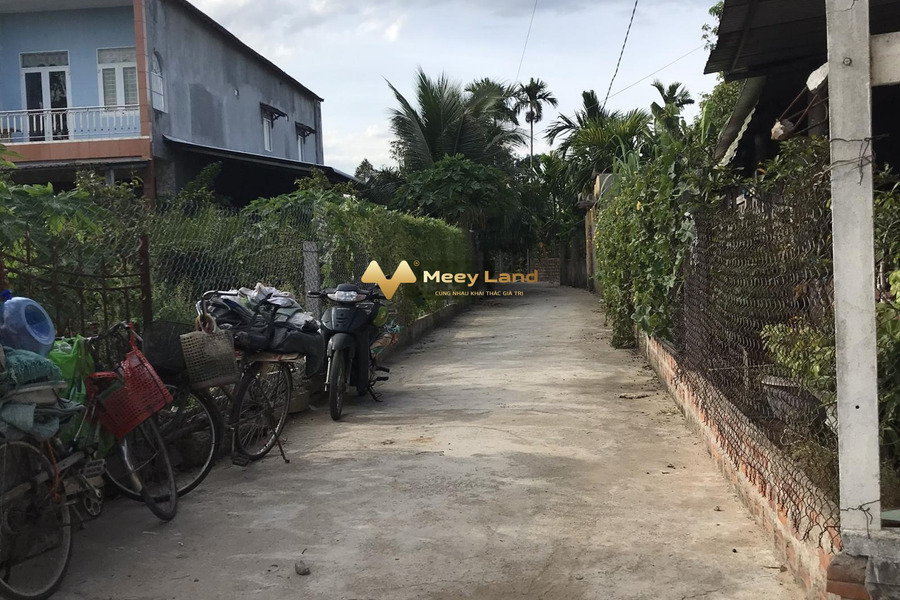 Ngay trên Nguyễn Thông, Quảng Ngãi bán đất giá 735 triệu-01