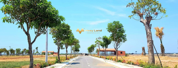 Bán đất vị trí đẹp ở An Ngãi, Long Điền, hướng Đông - Nam, 100m2-02