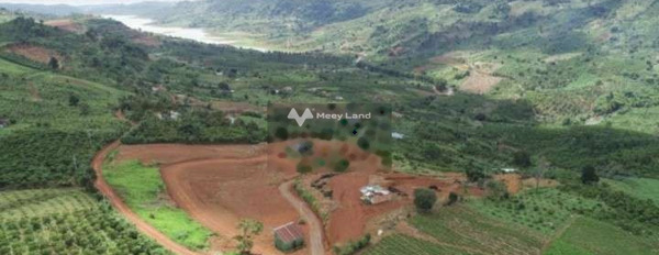 Vị trí phát triển Lộc Tân, Bảo Lâm bán đất giá mua liền 700 triệu có một diện tích sàn 500m2-03