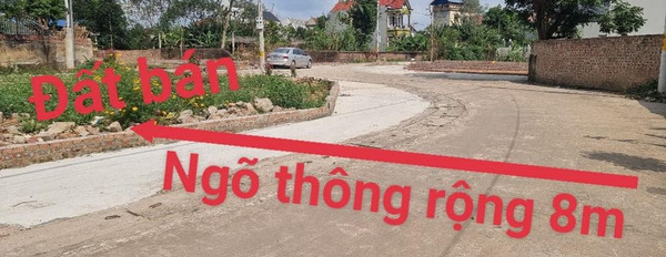 Cần bán đất huyện Sóc Sơn, Hà Nội-02