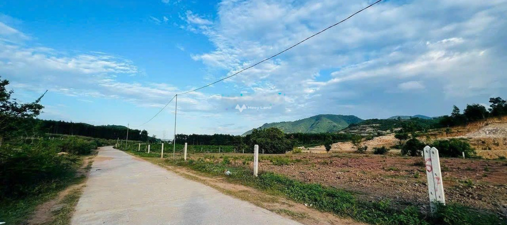 Vị trí tiện lợi ngay tại Hương Lộ 62, Khánh Hòa bán đất giá cơ bản 496 triệu với tổng diện tích 412m2