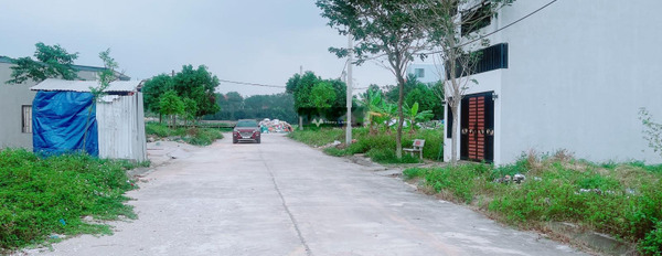 Bán đất diện tích 100m2 tại Tam Quan, Vĩnh Phúc-03