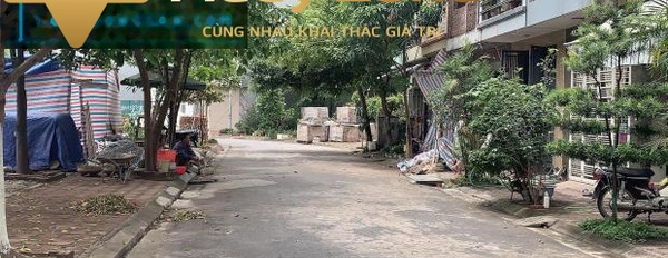 Bán mảnh đất 46m2 tại Giang Biên, Hà Nội-02