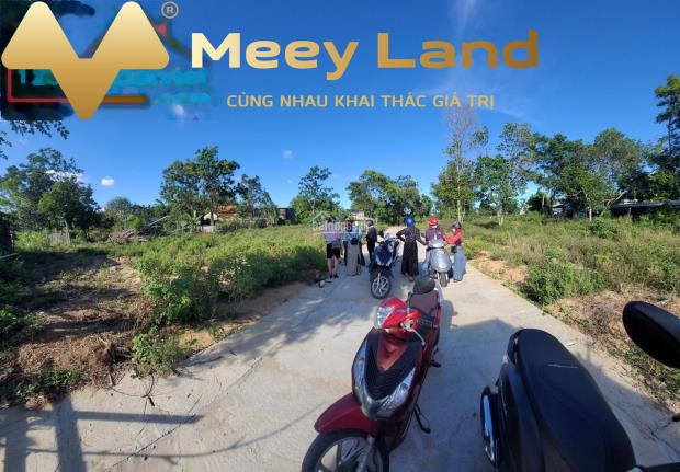 Bán đất 410 triệu Xã Điện Hòa, Tỉnh Quảng Nam có một dt 100 m2
