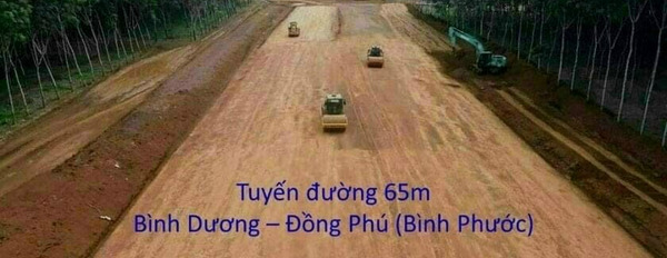 Đất nền đường cao tốc Bình Dương Đồng Phú-02