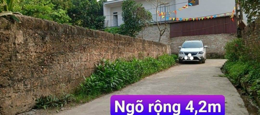 Cần bán đất huyện Mê Linh Thành phố Hà Nội giá 700 triệu
