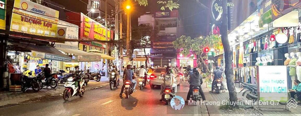 Mai Văn Vĩnh, Hồ Chí Minh 34.5 tỷ bán đất diện tích rộng rãi 240m2-03