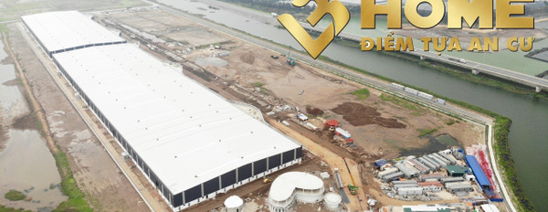 Cho thuê kho xưởng xây mới tại khu công nghiệp Đình Vũ từ 3600m2 đến 23760m2 có trạm biến áp PCCC tự động-03