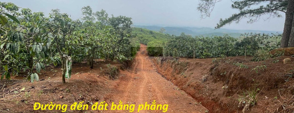 Chính chủ bán lô đất nghỉ dưỡng, view đẹp, gần Đà Lạt, giá tốt -03