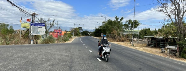 Vị trí ngay trên Ninh Sơn, Ninh Thuận bán đất giá bán cực sốc 185 triệu có diện tích sàn 1000m2-02