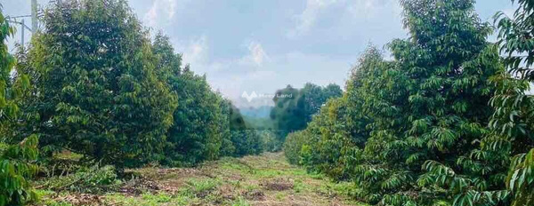 Vị trí đẹp tọa lạc ở Long Khánh, Đồng Nai bán đất, giá bàn giao chỉ 1.1 tỷ có một diện tích sàn 2000m2-03