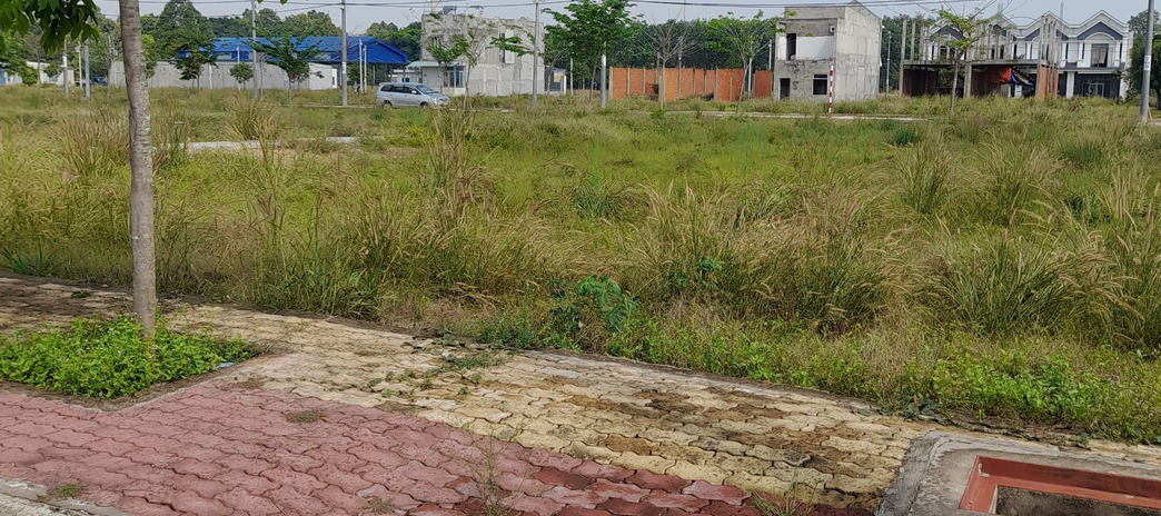 Cần bán đất diện tích lớn đầu tư sinh lời đường Mai Anh Đào, Phường 8, Đà Lạt