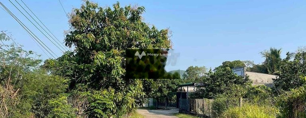 Chính chủ gởi bán 6 xào đất vườn trái cây đang thu hoạch Tân Phú, Đồng Nai-02