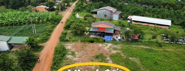 Cư Ê Wi, Đắk Lắk bán đất giá chốt nhanh từ 419 triệu diện tích rộng 609m2-02