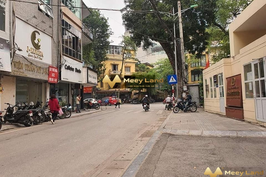 Vị trí thuận lợi ngay trên Đường Nguyễn Bỉnh Khiêm, Hà Nội bán nhà giá siêu rẻ chỉ 10 tỷ trong căn này thì gồm 7 phòng ngủ 6 WC-01