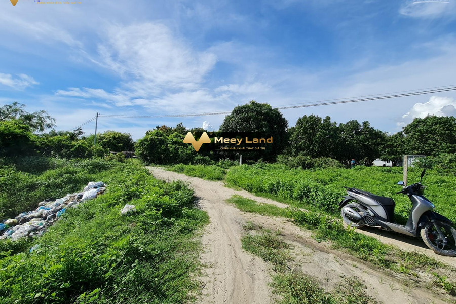 Bán đất vị trí đẹp ở đường Lê Duẩn, huyện Cam Lâm-01