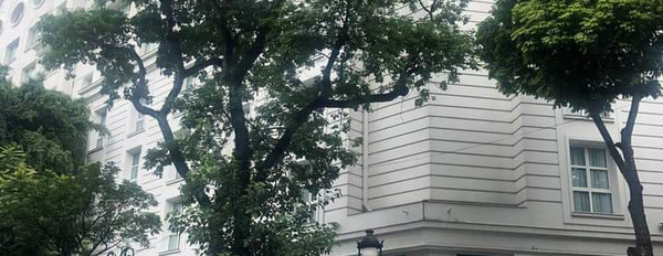 Bán nhà phố Tràng Tiền 188m2 × 3 tầng, mặt tiền 4.5m, giá 165 Tỷ, Hoàn Kiếm-03