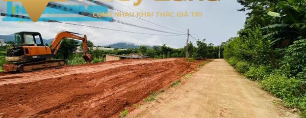 1.09 tỷ bán đất có dt chính 500m2 nằm ở Đường Tỉnh Lộ 725, Tỉnh Lâm Đồng-03
