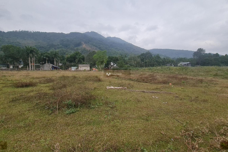 Bán đất có diện tích tổng là 5336m2 vị trí đặt nằm trên Liên Xã, Lương Sơn-01