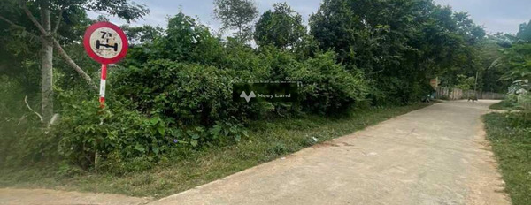 Bán đất tại Liên Sơn, Lương Sơn. Diện tích 1000m2-02
