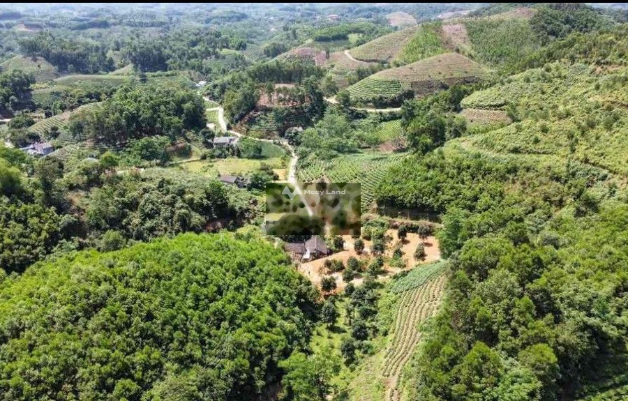 Vị trí đẹp ở Trạm Hành, Lâm Đồng bán đất giá bán ngạc nhiên chỉ 980 triệu với tổng diện tích 1000m2-01