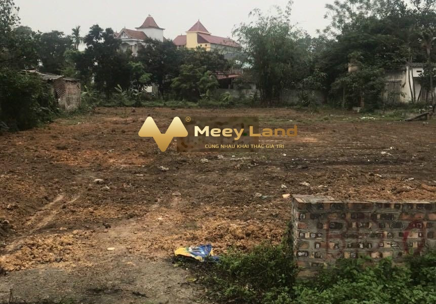 Xã Ngọc Thanh, Tỉnh Vĩnh Phúc 2,7 tỷ, bán đất có một 900 m2-01