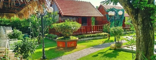 Chào bán siêu phẩm Farm 5000m2 Mặt tiền đường nhựa Hoà Phú chính chủ đăng tin-02