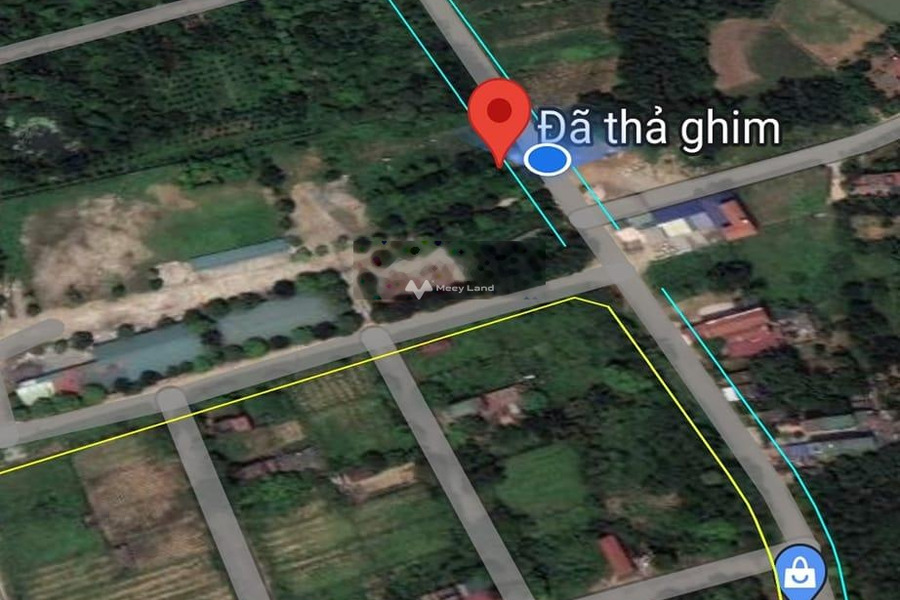 Cần bán đất vị trí hấp dẫn Đường 21A, Hà Nội. Diện tích 305,4m2-01