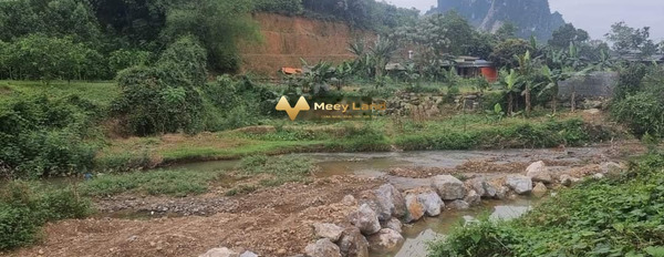 Chủ gửi bán gấp 4000m2 đất thổ cư tại Lương Sơn, Hòa Bình-03