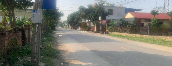 Chuyển định cư bán mảnh đất, 300m2 Bên trong Phú Cát, Hà Nội giao thông đông đúc-03